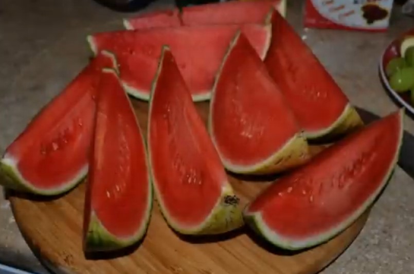 comer patilla con paludismo