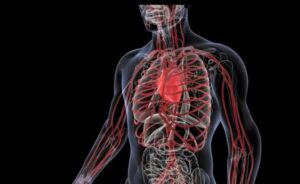 Entrenamiento Cardiovascular dibujo
